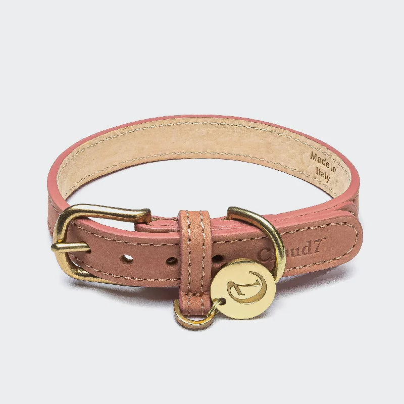 Dog Collar Tiergarten - New